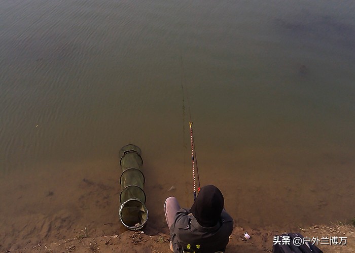 不会钓鱼怎么逮鱼,如何找到鱼窝和钓位