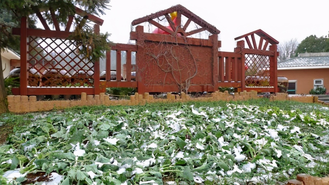 昆明旅游4a级景区有哪些,昆明市内旅游景区推荐