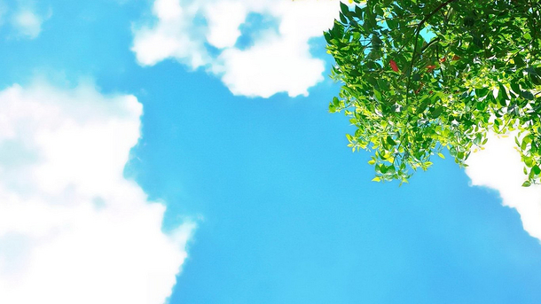 诗经里落落大方的宝宝好名字,诗经儒雅大气的三字男孩名字