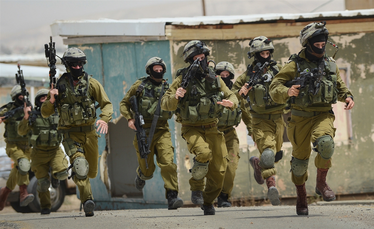 以色列特种部队野小子标志,以色列特种部队野小子装备