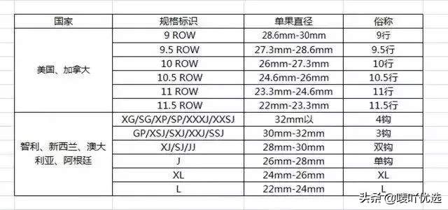 2023智利车厘子最新消息,目前智利车厘子已进入到货高峰期