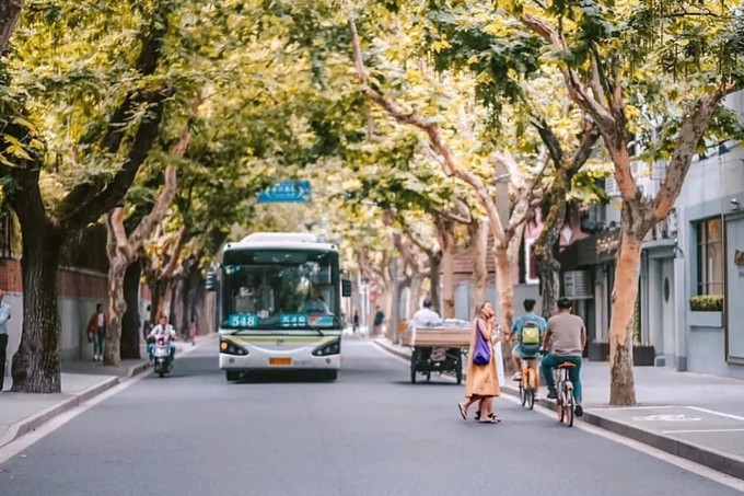 上海闵行区小众景点,上海网红小众圣地