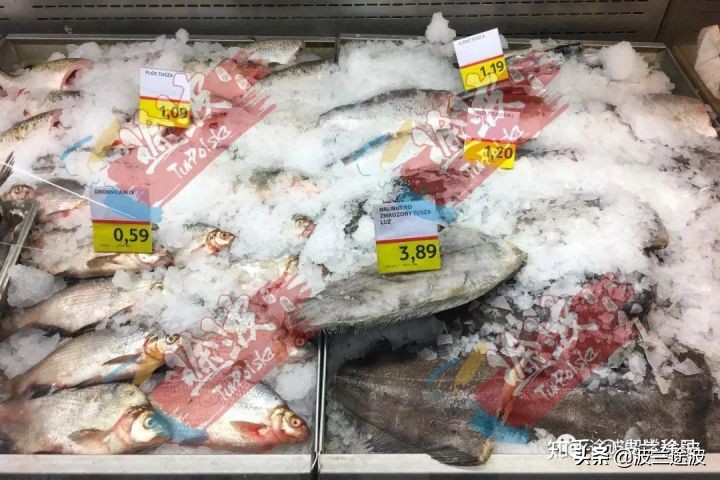 波兰物价多少钱一公斤,波兰与西班牙物价对比
