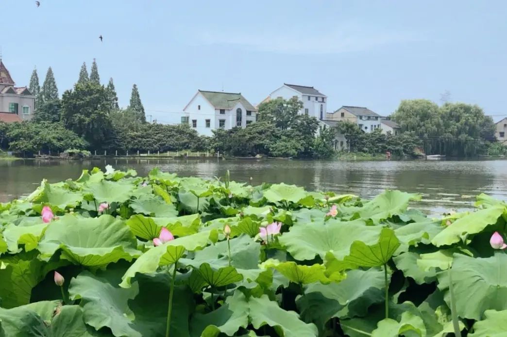 百家发布追寻奋斗百年路|传承红色历史,高水平建设创新余杭品质之区文明圣地!