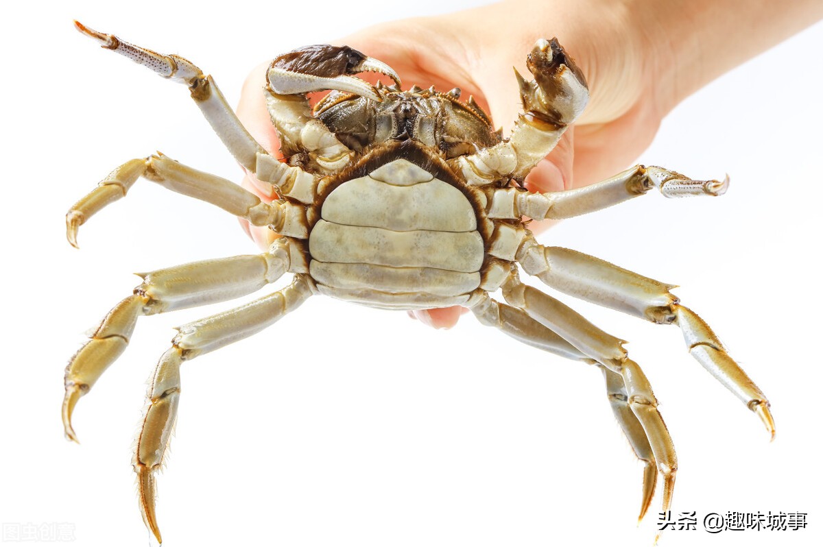 螃蟹煮熟的时候怎么处理比较干净,煮熟的螃蟹应该怎么处理才能吃
