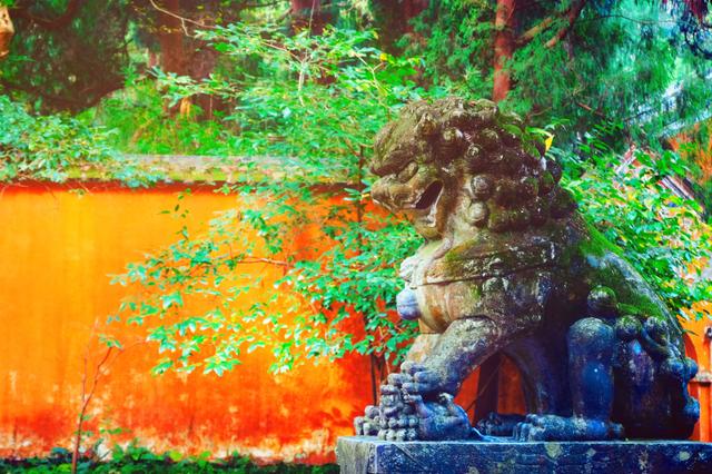 浙江这座5*级A**寺院景区，让我这俗人第一次有了想要“出家”的冲动