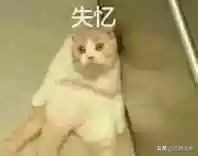 借钱不还人失踪了怎么办,借钱不还玩失踪怎么办