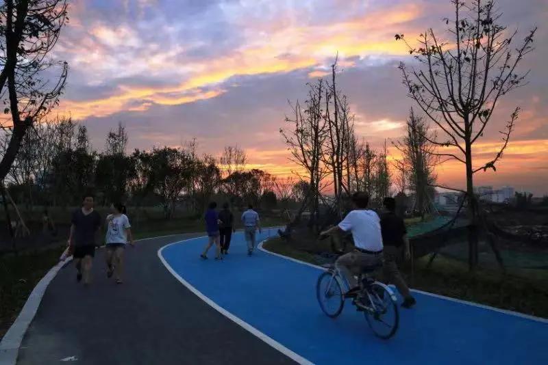 青白江十大健身地,青白江区体育锻炼的地方