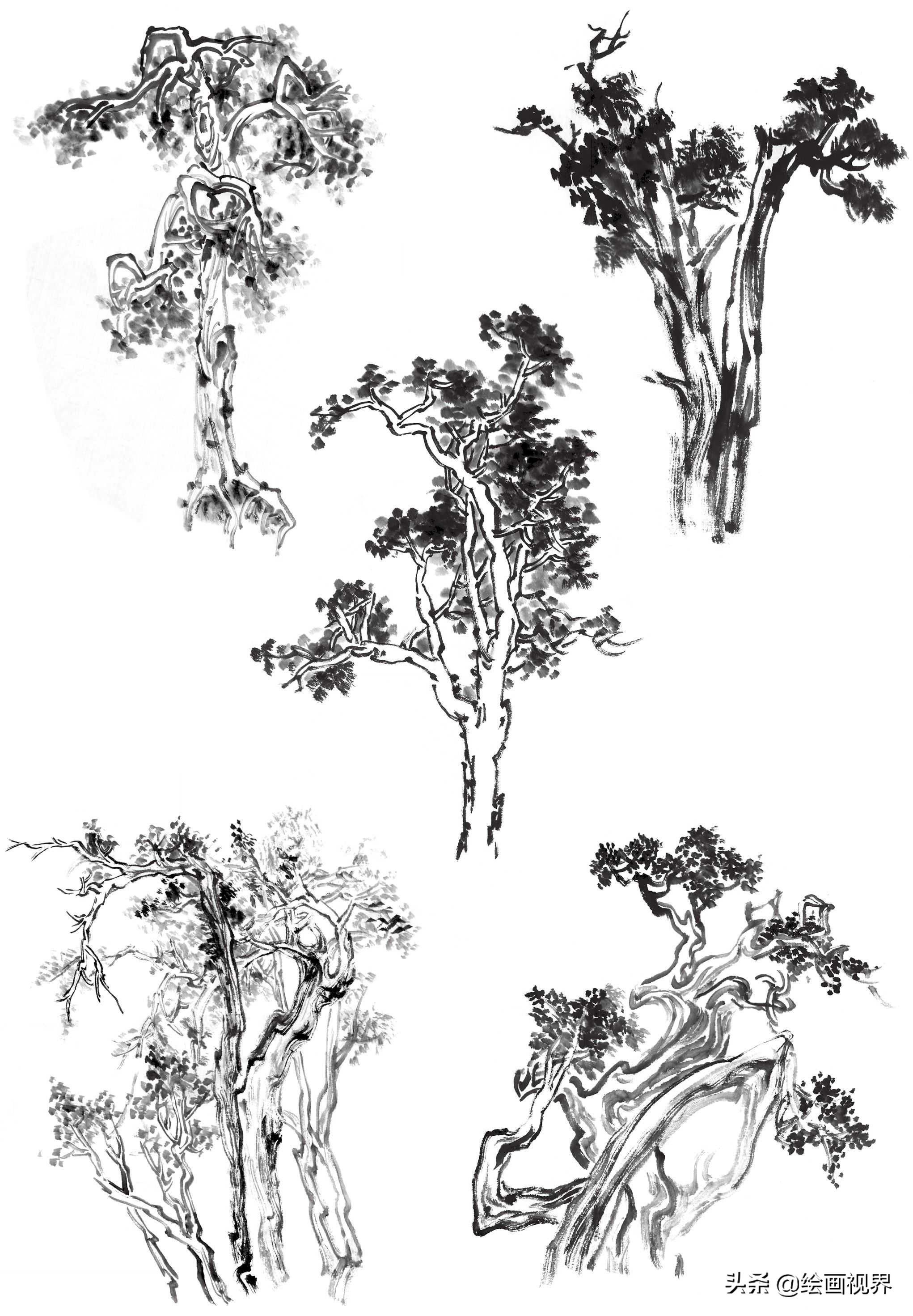 国画双钩树的画法入门,国画杂树与山石的画法图片