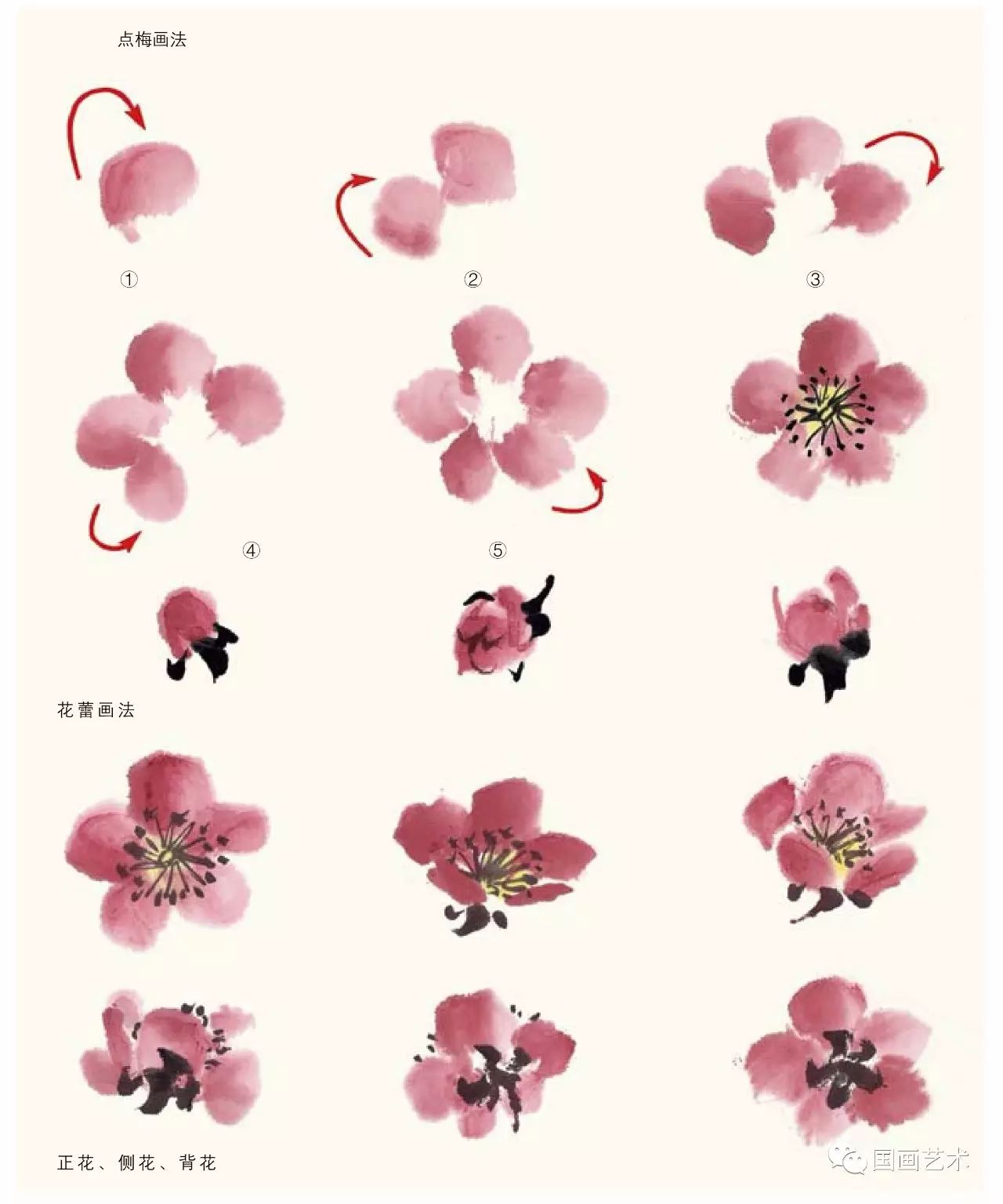 图文教程梅花,国画梅花的画法视频