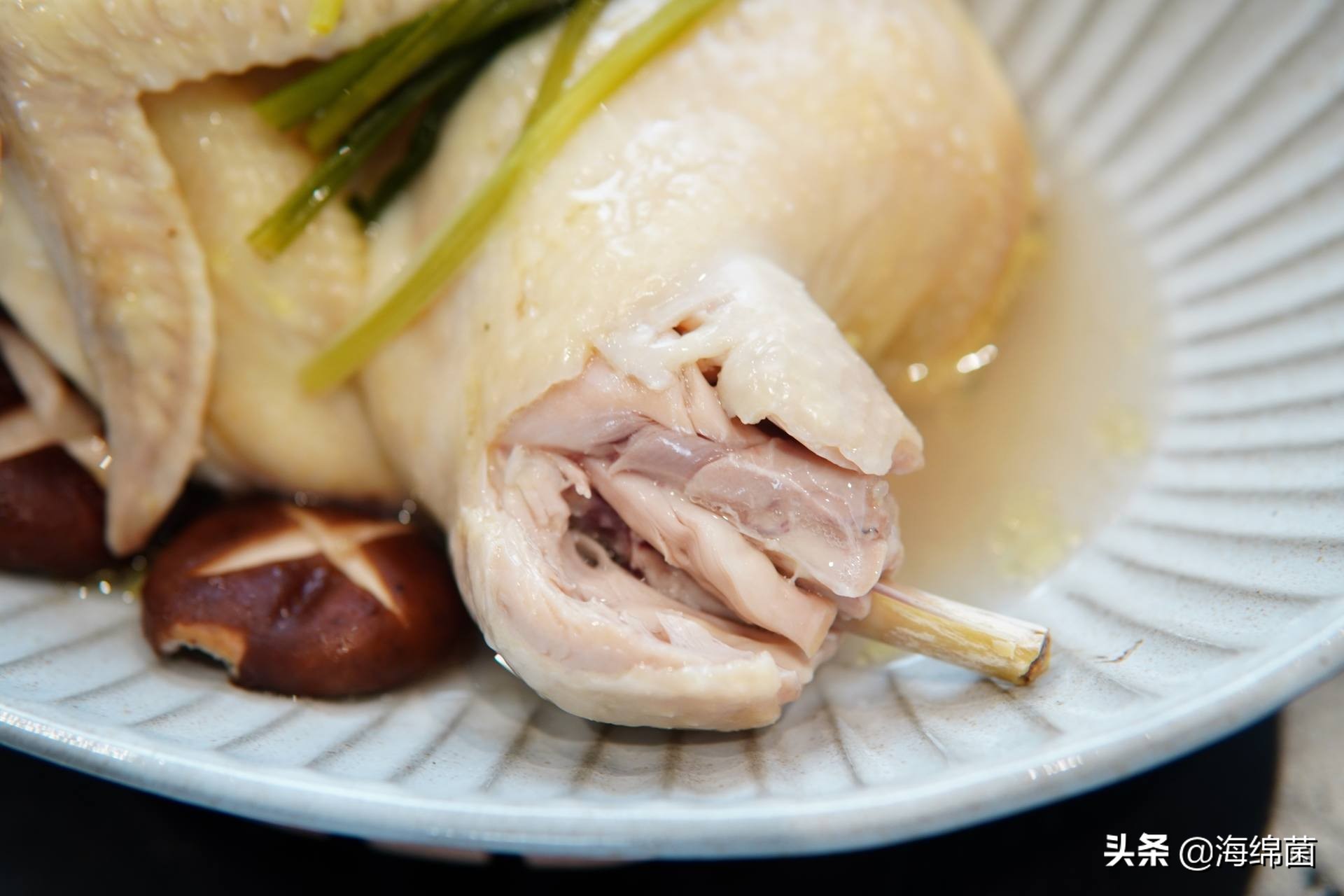 bolali博拉利多功能蒸汽料理锅,蒸汽桑拿锅测评