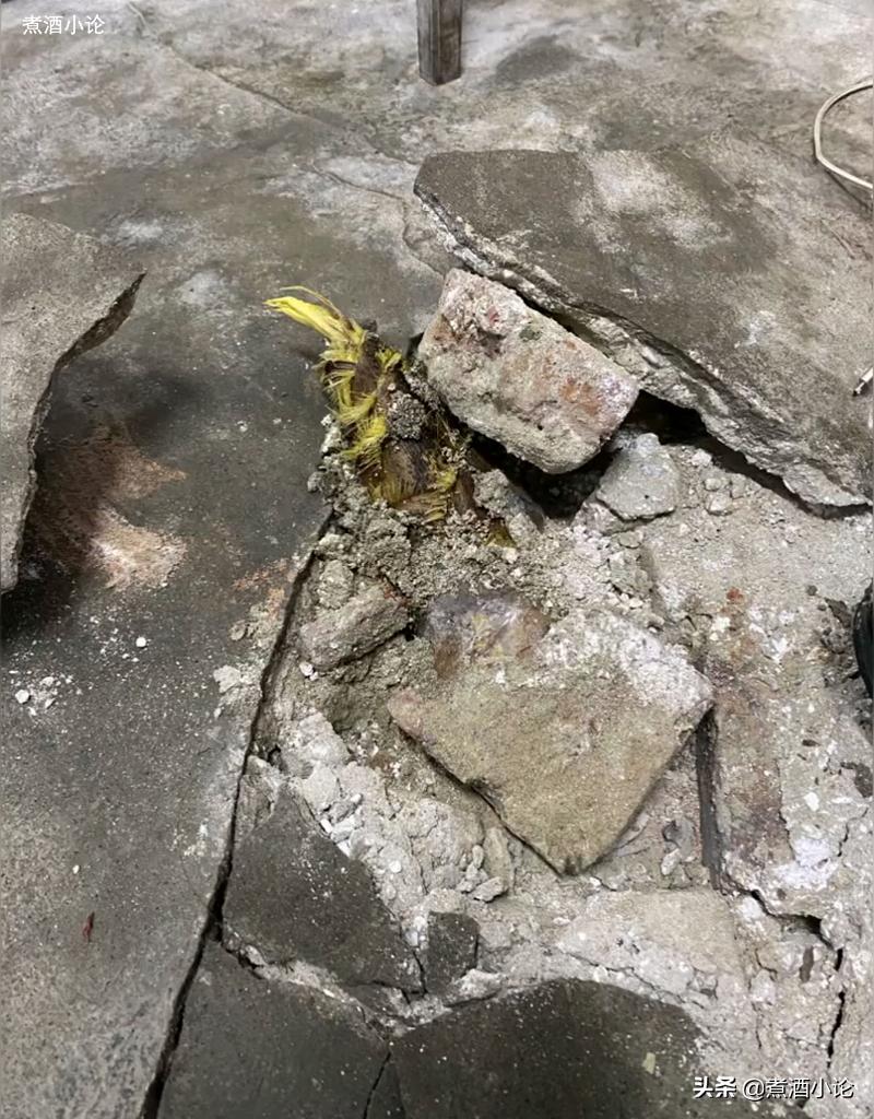 湖南女教师宿舍长出4米高竹笋,湖北女教师宿舍长出竹笋