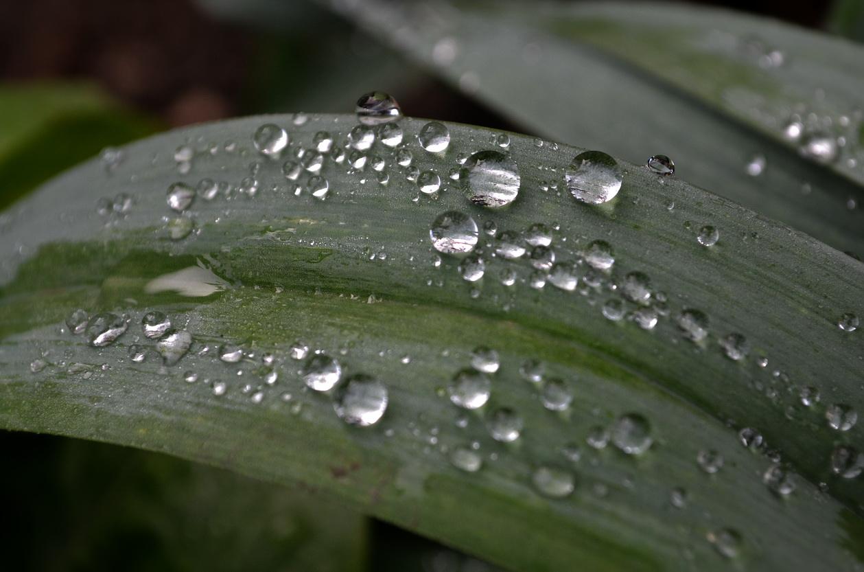 窦娥冤里是六月雪吗,窦娥冤比六月雪好在哪里