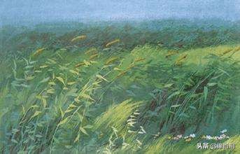 可爱的草塘课文朗读,可爱的草塘图片