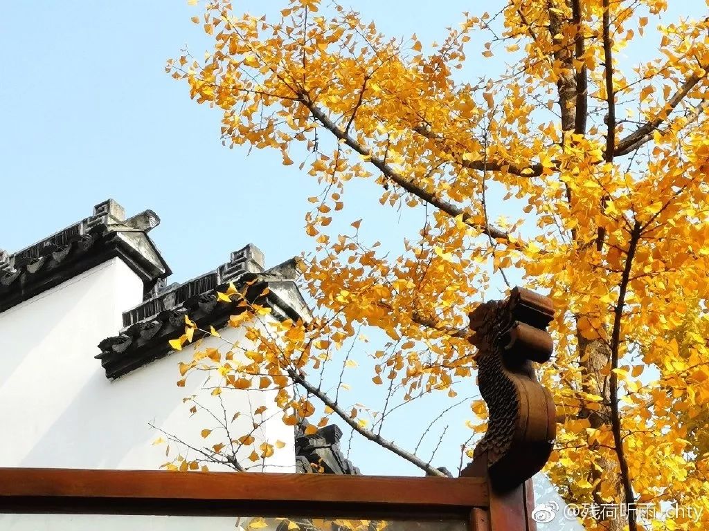 一到秋天南京就成了金陵,一入秋南京就成了金陵