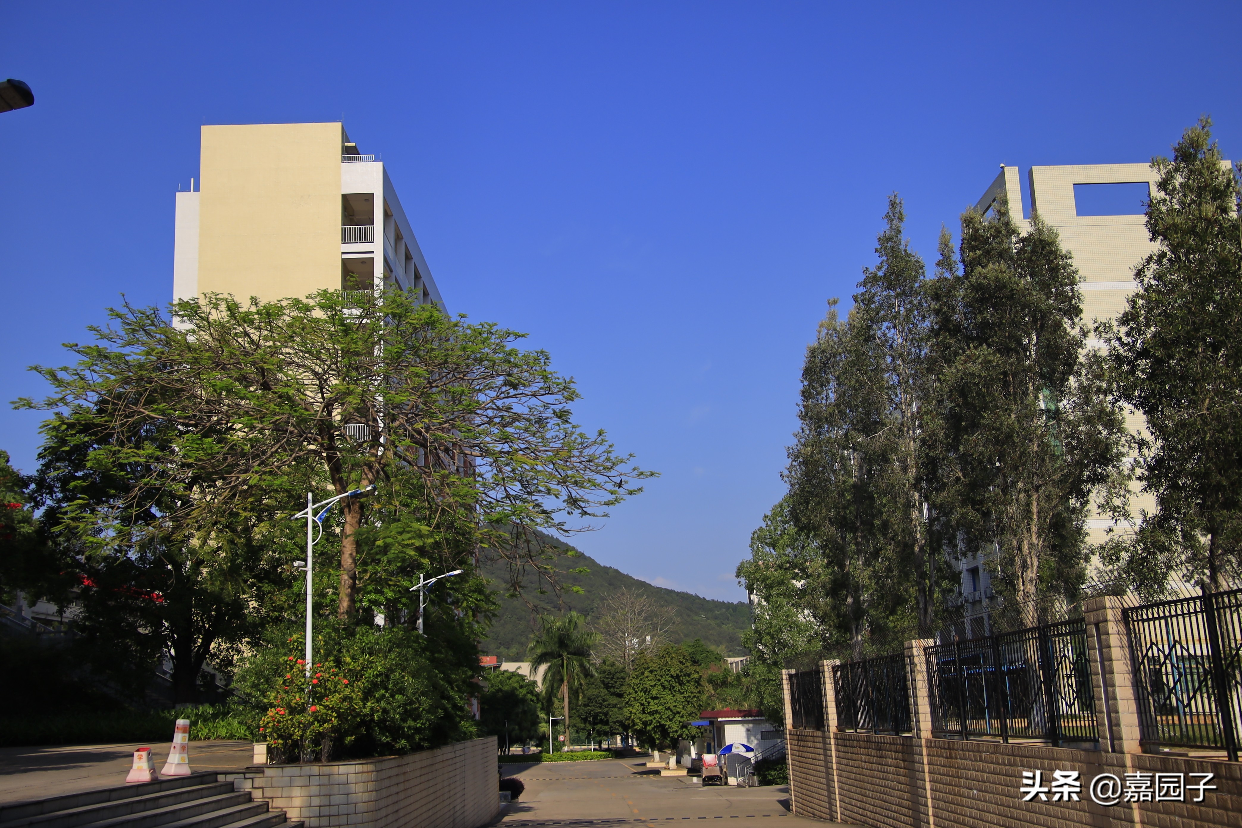 嘉应学院几本,嘉应学院申硕