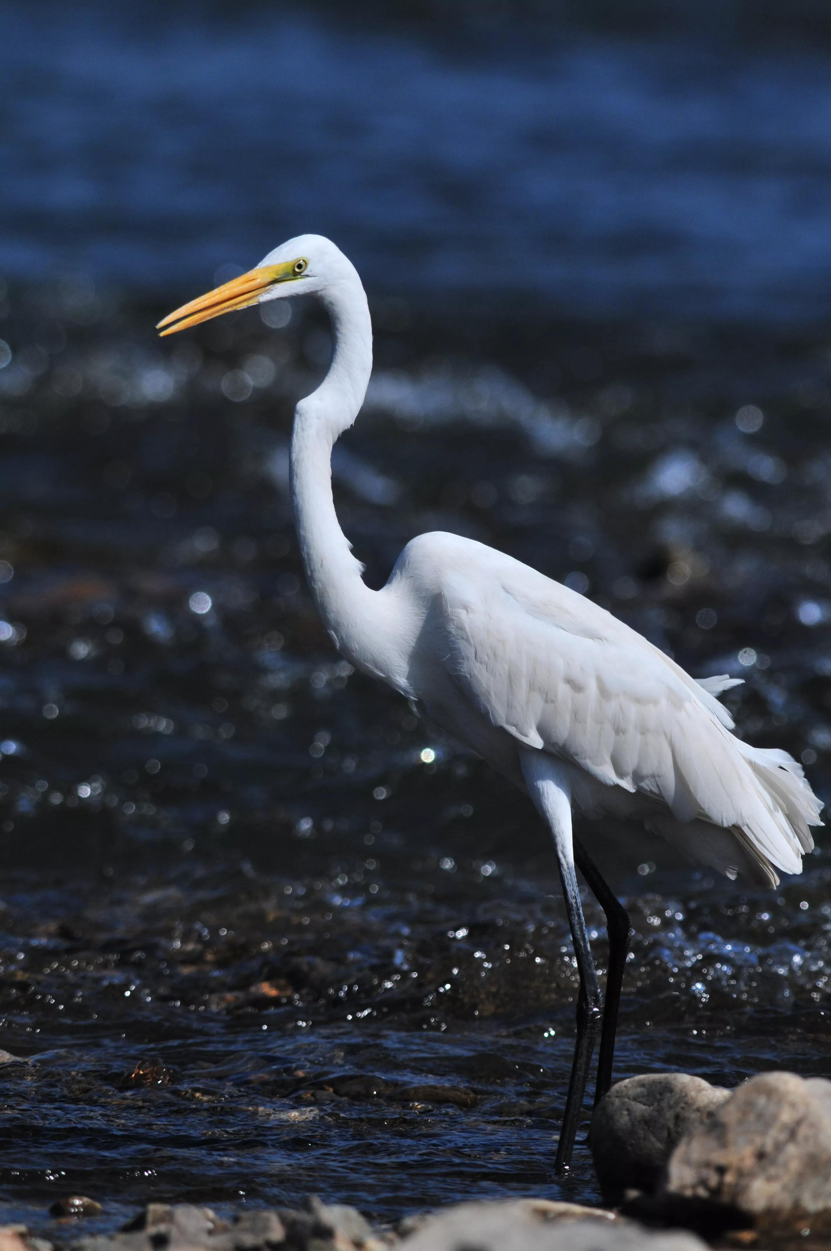 镜头装增距镜光圈会变化吗,镜头加增距镜后虚化效果会变好吗