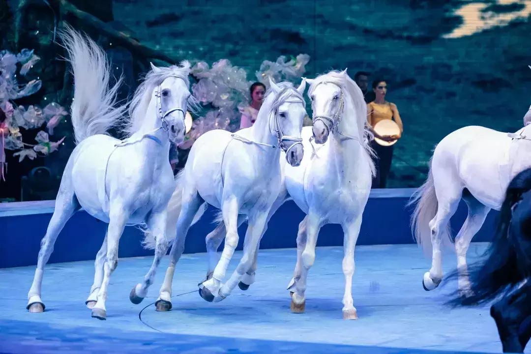 珠海长隆龙秀门票,珠海长隆优惠活动9月1号到10号