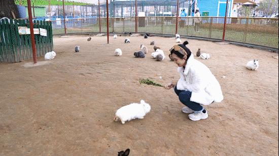 郑州国际旅游区,郑州国际旅游度假区官网