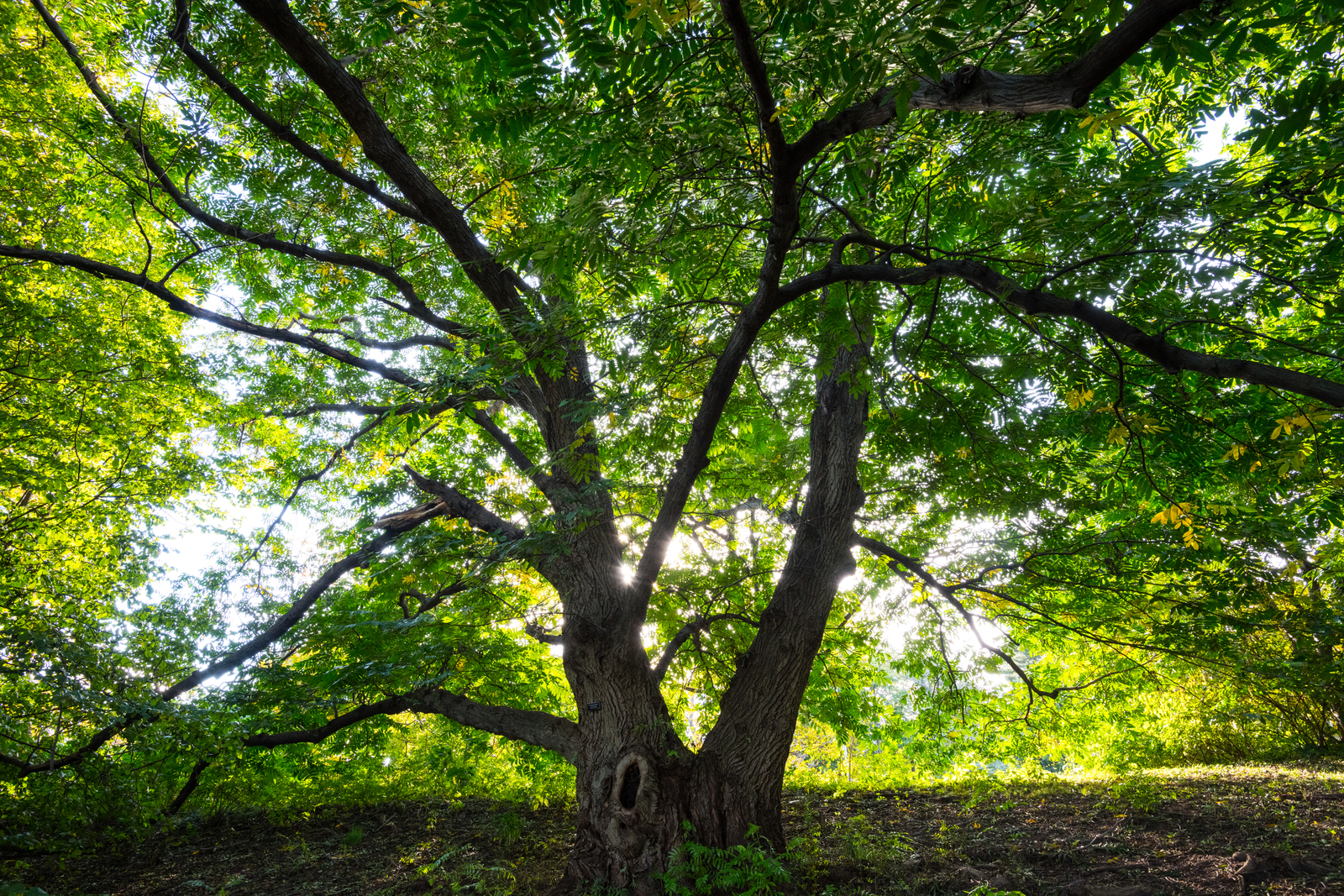 大城市的繁华景色纽约,纽约繁华的另一面
