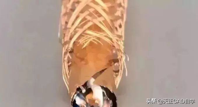 双绞屏蔽线就是屏蔽六类网线吗,怎么识别超六类屏蔽双绞网线