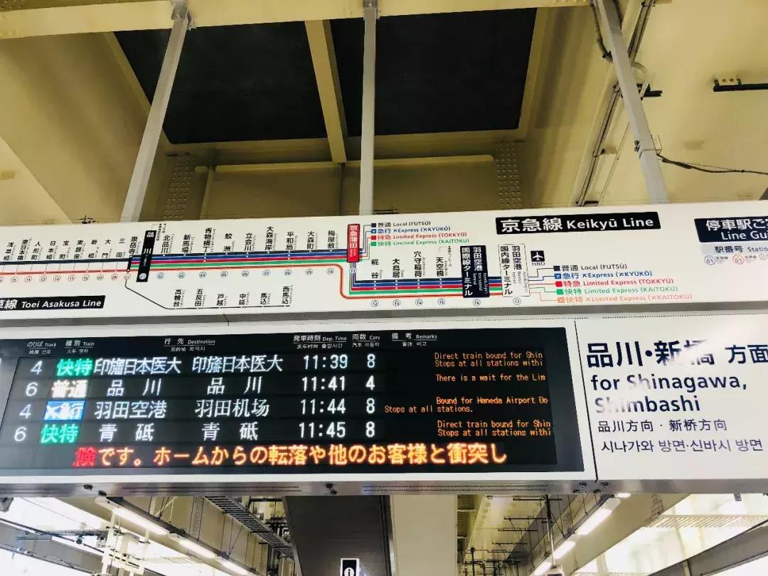 #Lili travel #日本樱花季之旅，畅游东京、京都、大阪！