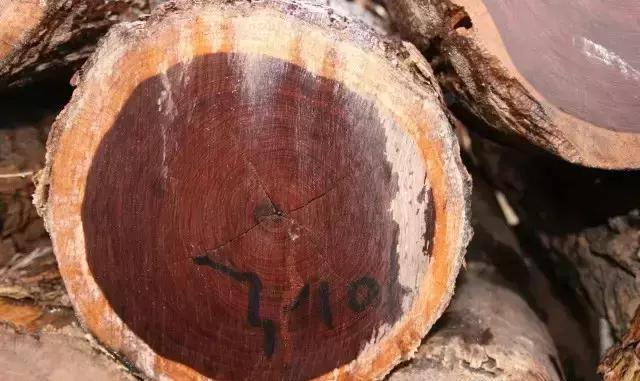 明清时期最受欢迎的7种红木用材,红木用材特征分类标准有哪些