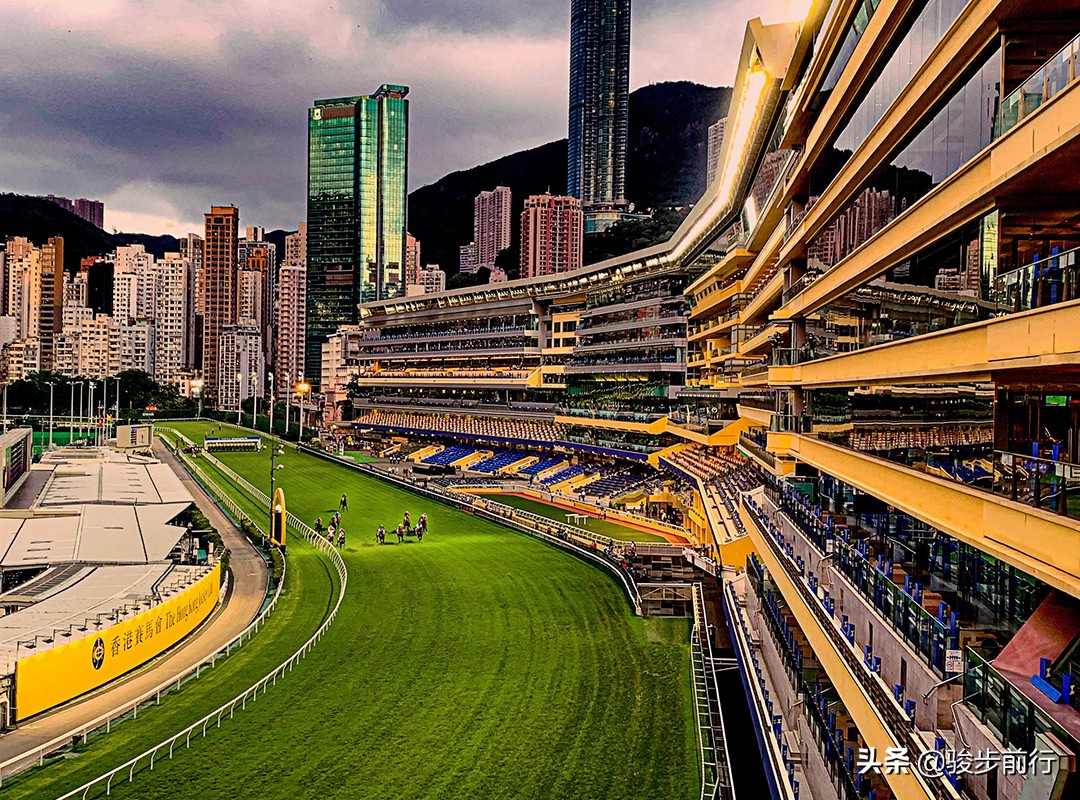 赛马马彩,最新海南赛马产业