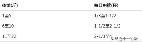幼犬不知道喜欢吃什么,幼犬不知道吃狗粮