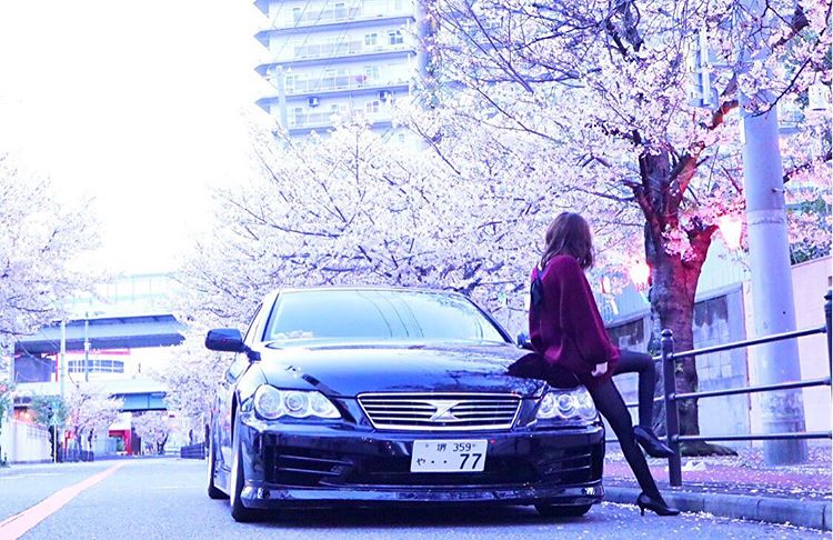 丰田真的开不坏吗,丰田锐志车真的开不烂吗