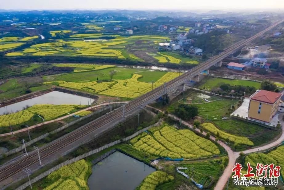 2022元旦火车票明起开抢,元旦假期首日火车票今天开抢