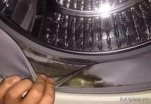 洗衣机不定期清理竟然比马桶还脏,每日分享清洗洗衣机妙招