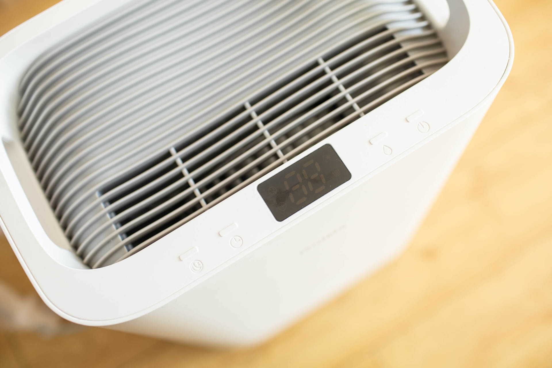 抵御南方湿冷的魔法攻击，小而强悍的伊岛*湿机除**