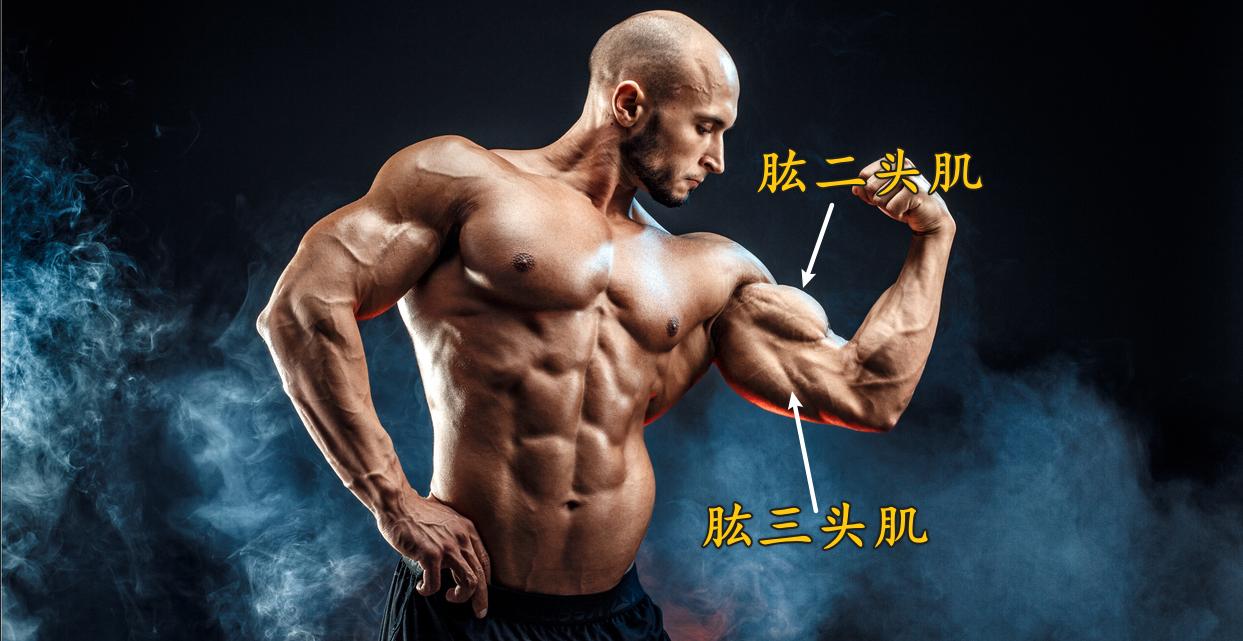 练不出麒麟臂的原因,简单实用的麒麟臂练法