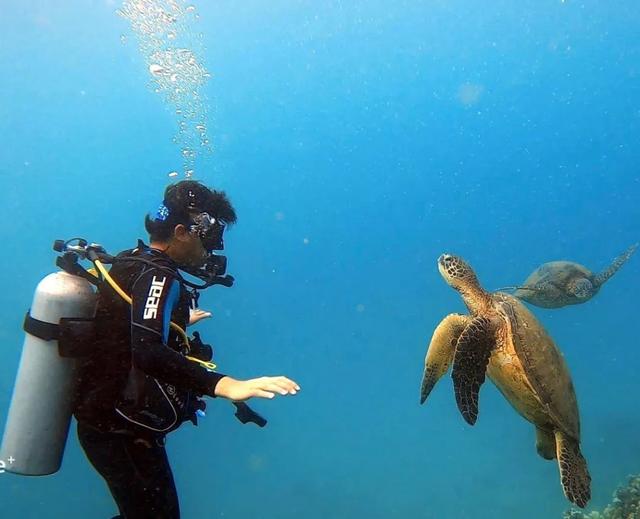 直男的拍照技术真的让人无语,男朋友的拍照技术真是棒极了