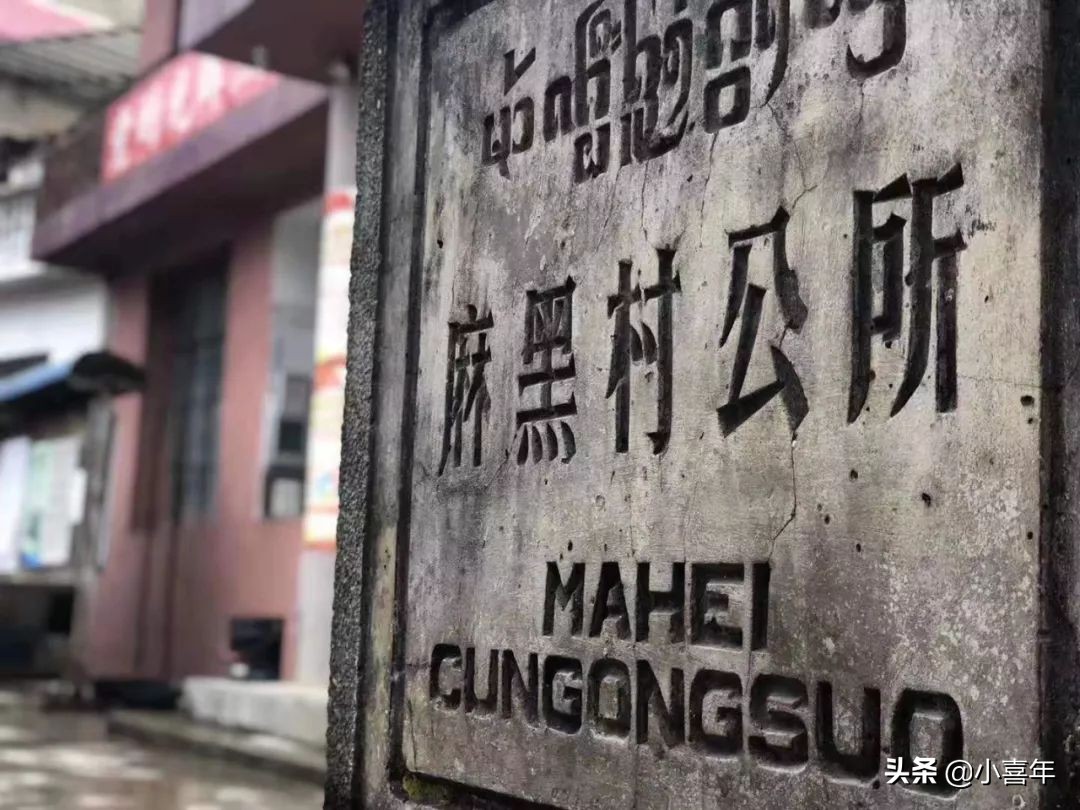 易武茶麻黑的特点,麻黑古树易武茶