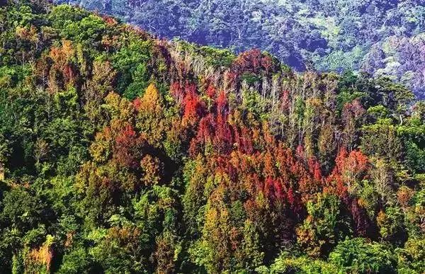 秋天最值得去的四个地方,秋天全部的风景
