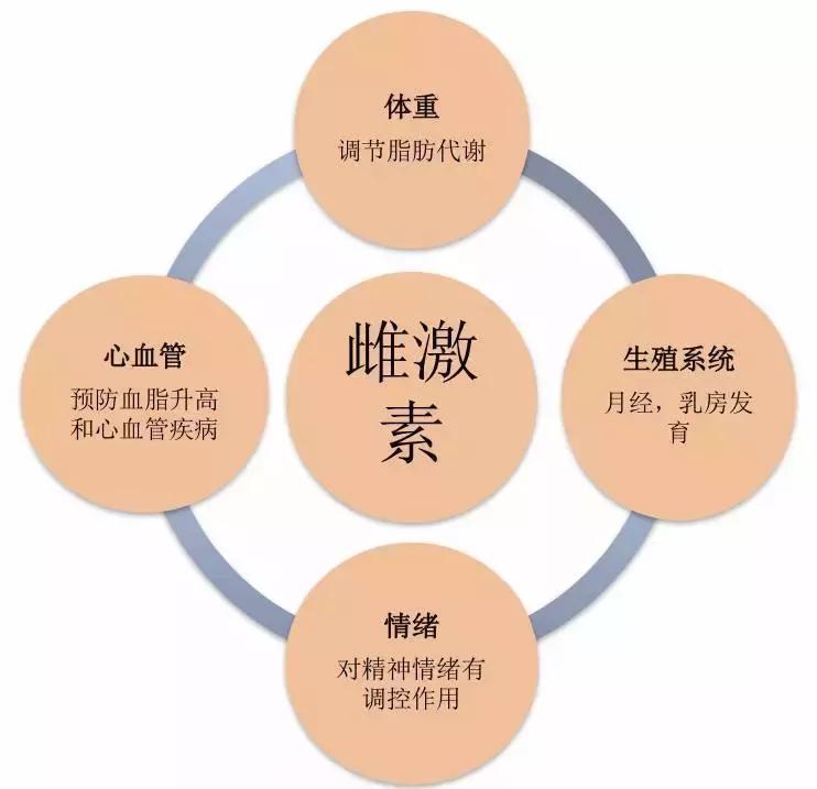 卵巢偏小是卵巢早衰的现象吗,卵巢早衰的6个原因