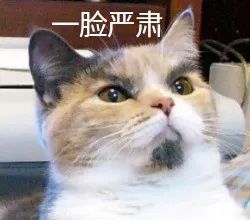 伯纳天纯猫粮是真的吗,伯纳天纯猫粮怎么区分真假