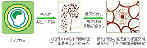 有效提升孩子大脑思维能力,思维和思维力