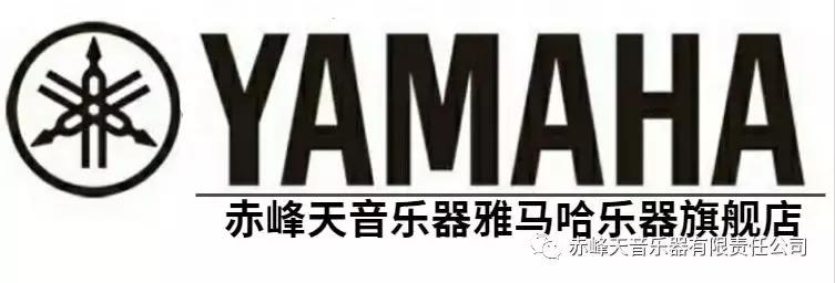 天音雅马哈,天音a810与雅马哈弦距