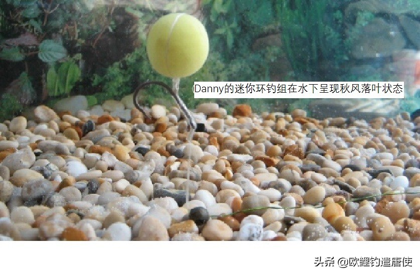 欧鲤钓钓组篇,欧鲤钓组和飞德钓组