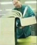 猫咪省钱好物维生素,猫咪必买的10种单品