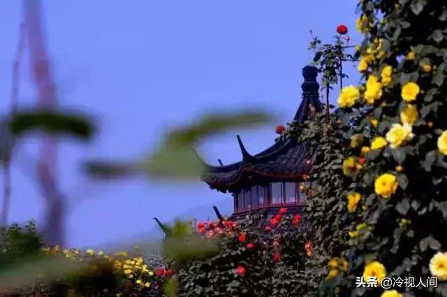 南阳怎样?看完你也会说“中!中!中!”