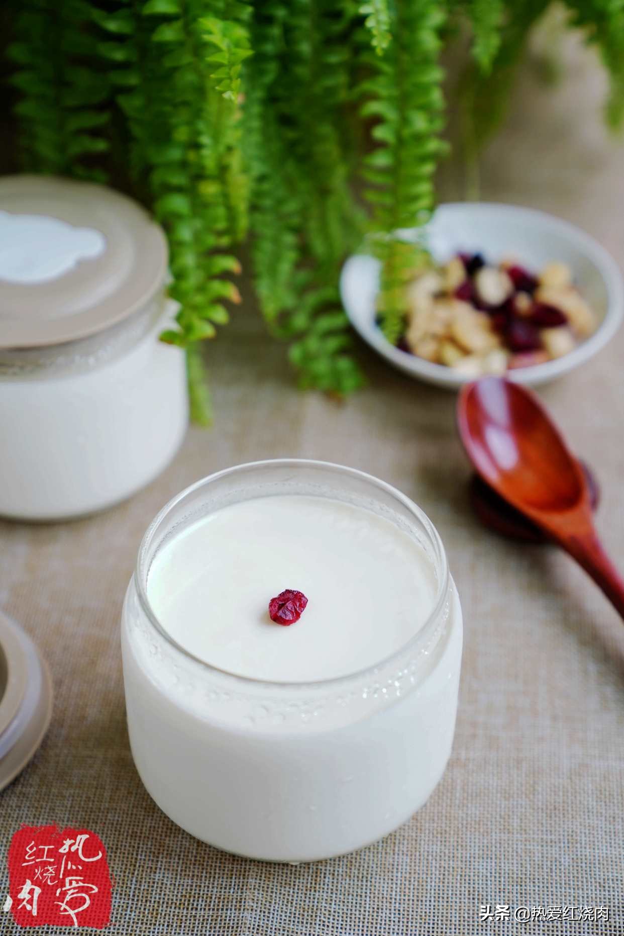 自制酸奶不酸不甜但粘稠拉丝,配方奶做酸奶几勺配500ml水