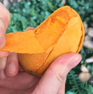 海南小台芒皮薄肉厚甘甜多汁,海南正宗台芒芒果