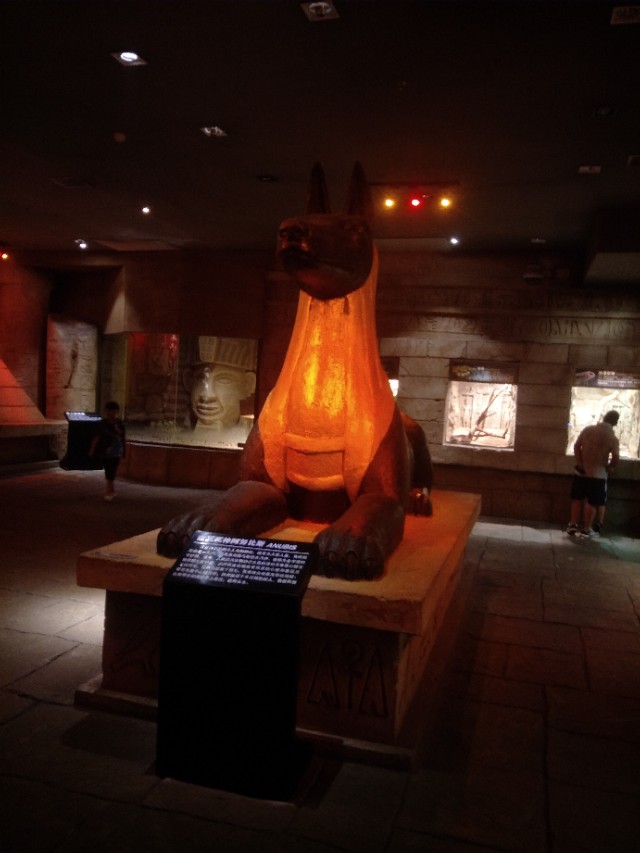 抚顺皇家海洋乐园冲浪馆图片,抚顺皇家极地海洋乐园视频