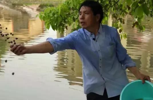 臭水塘变清水塘,臭水塘改造成景观