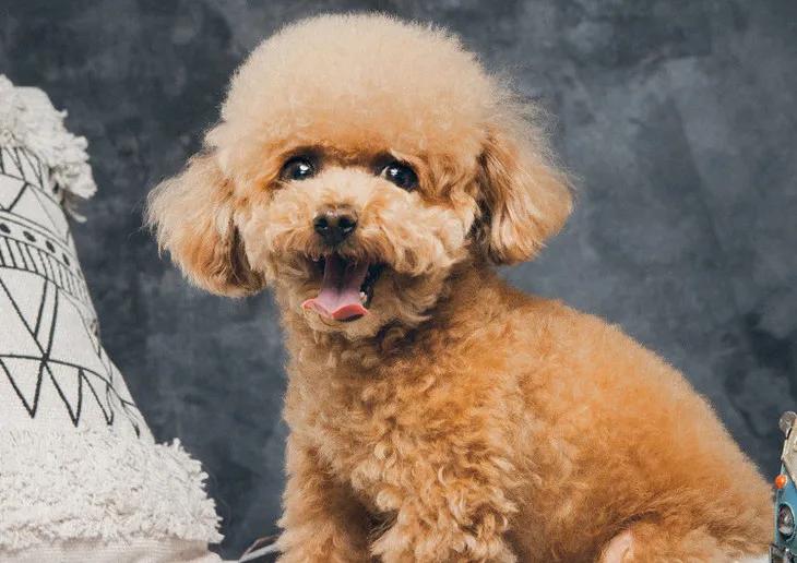 好看又舒适的慵懒风家居服,出门要有品位穿什么