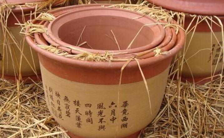 养花怎么选盆,新手养花推荐什么盆